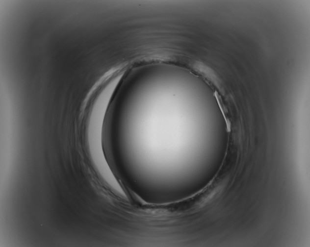 X0000086300395200704201946