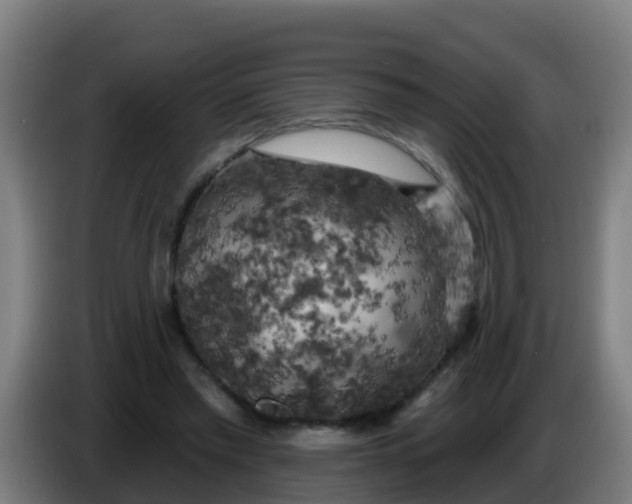 X0000086300397200704201946