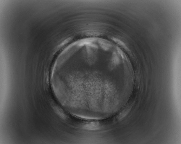 X0000086300398200704201946