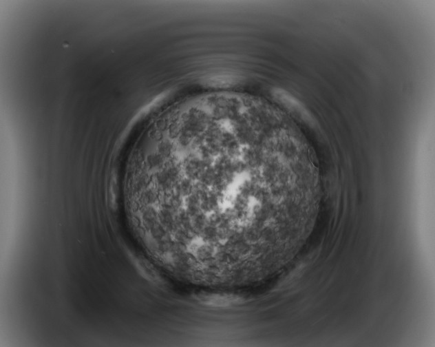 X0000086300400200704201946