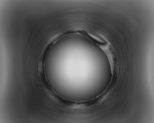 X0000086300403200704201946