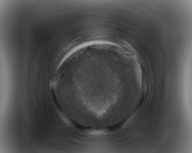 X0000086300405200704201946