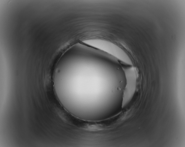 X0000086300407200704201946