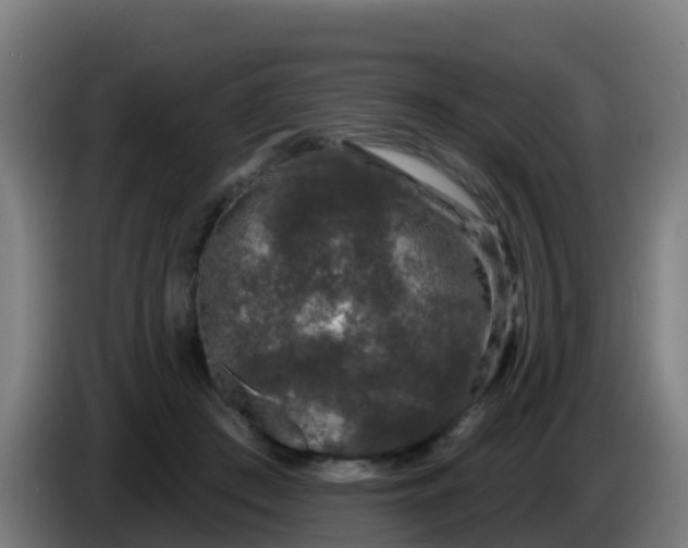 X0000086300409200704201946