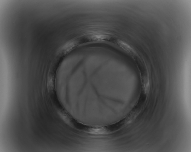 X0000086300410200704201946