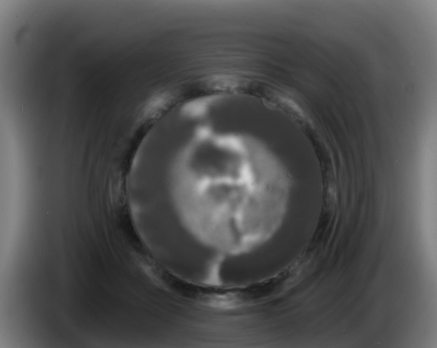 X0000086300411200704201946