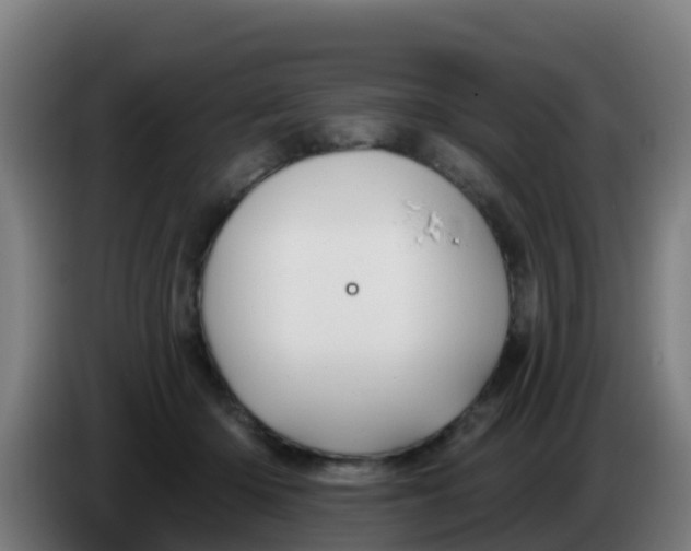 X0000086300414200704201946