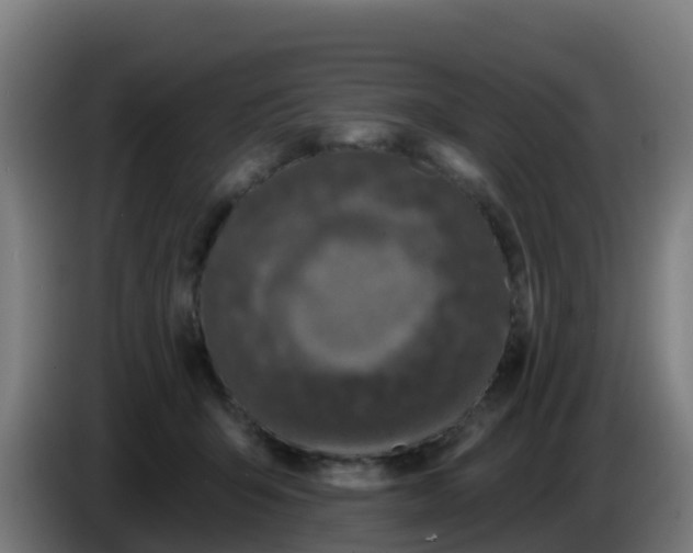 X0000086300415200704201946