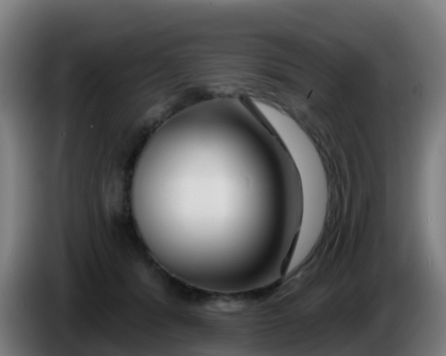 X0000086300416200704201946