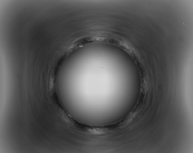 X0000086300417200704201946