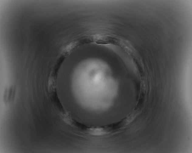 X0000086300419200704201946