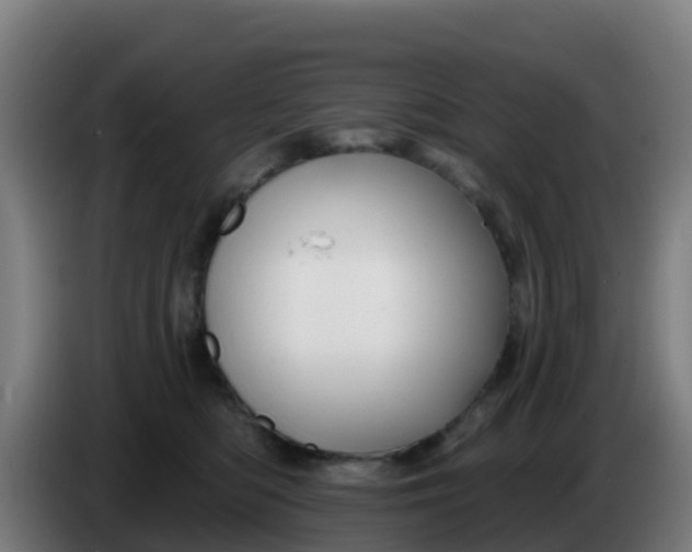 X0000086300422200704201946