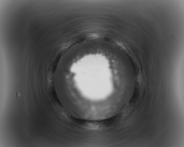 X0000086300423200704201946