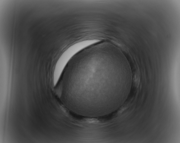 X0000086300424200704201946