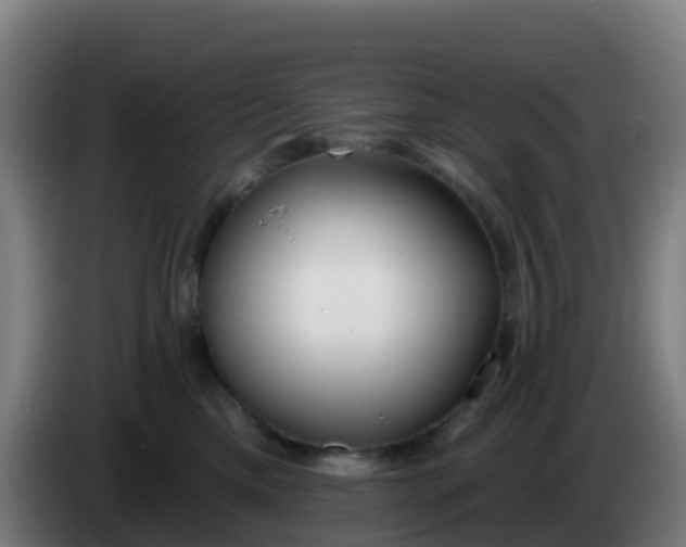 X0000086300425200704201946