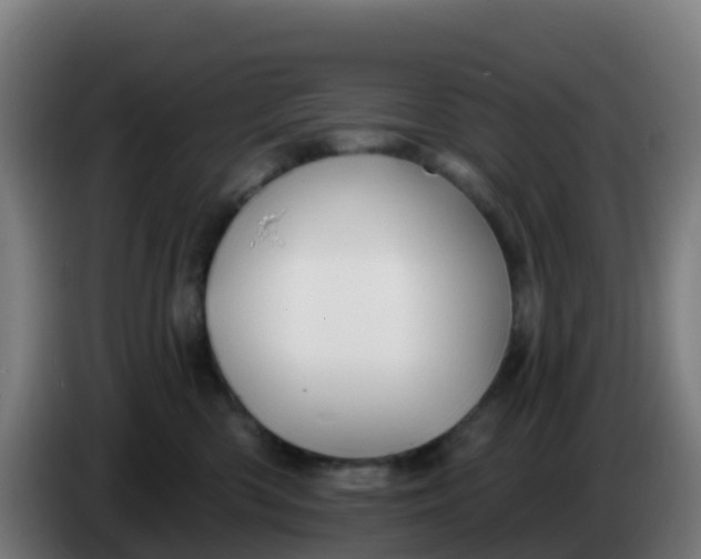 X0000086300426200704201946