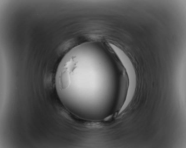 X0000086300428200704201946