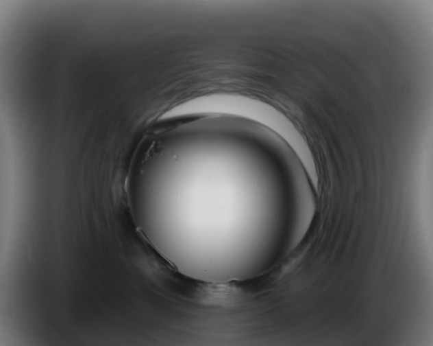 X0000086300429200704201946