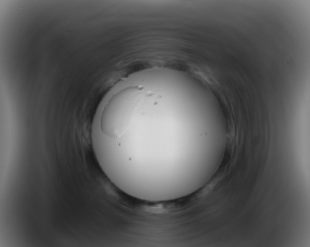 X0000086300430200704201946