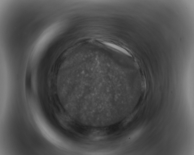 X0000086300431200704201946