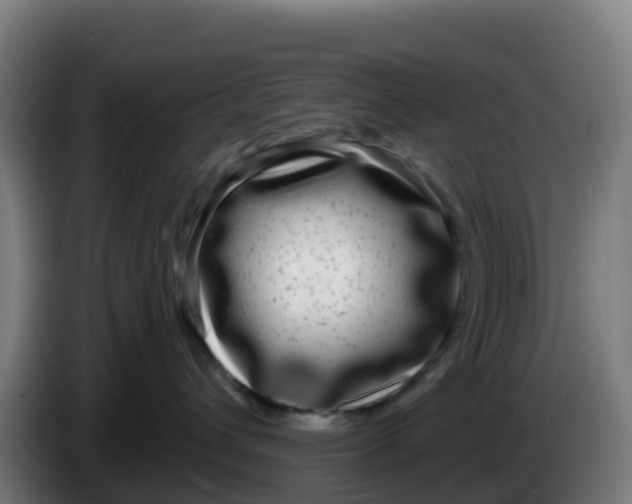 X0000086300432200704201946