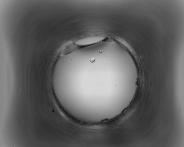 X0000086300433200704201945