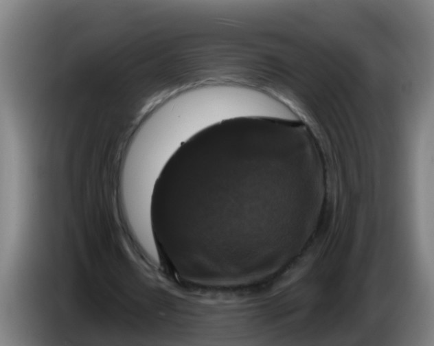 X0000086300434200704201945