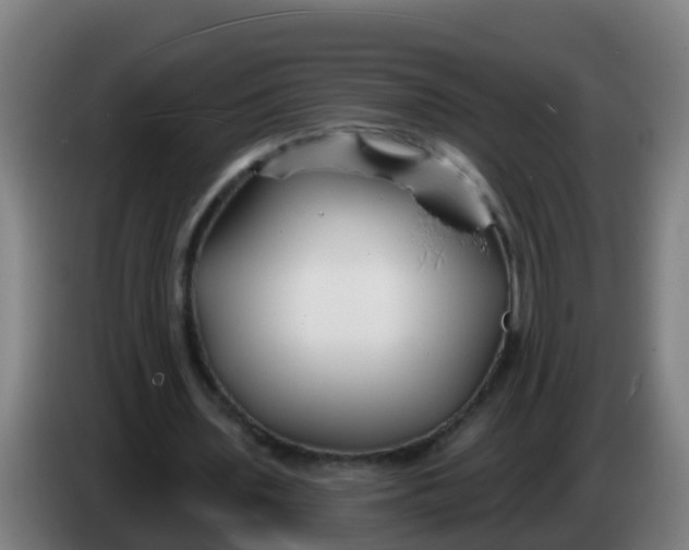 X0000086300435200704201945