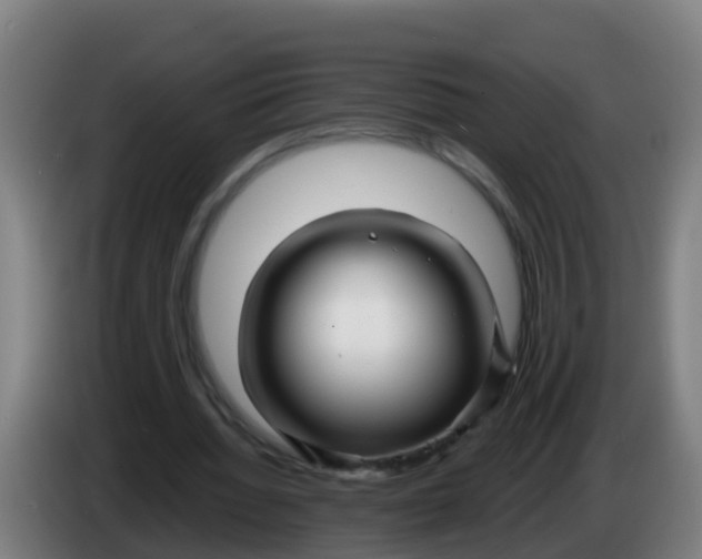 X0000086300436200704201945