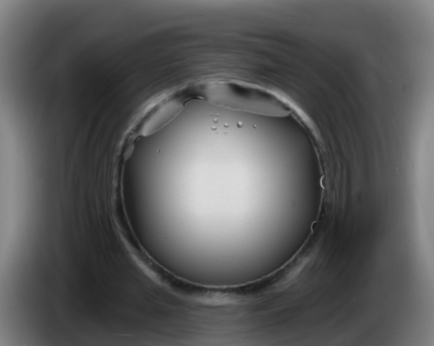 X0000086300437200704201945