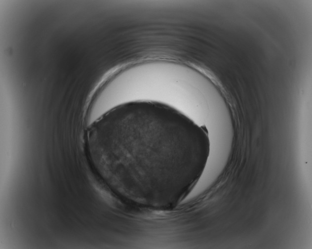 X0000086300438200704201945