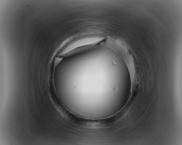 X0000086300440200704201945