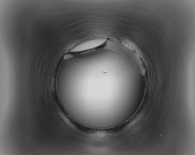 X0000086300441200704201945