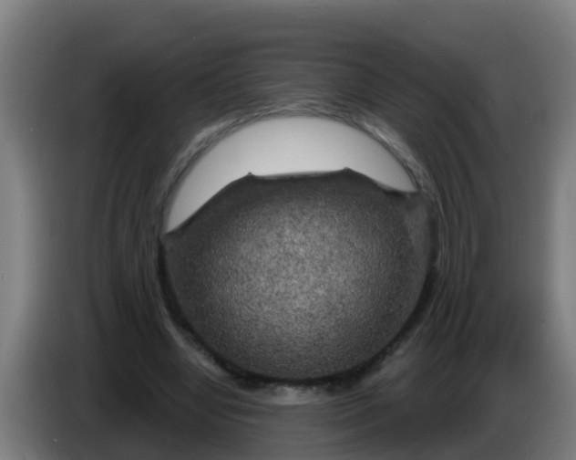 X0000086300442200704201945