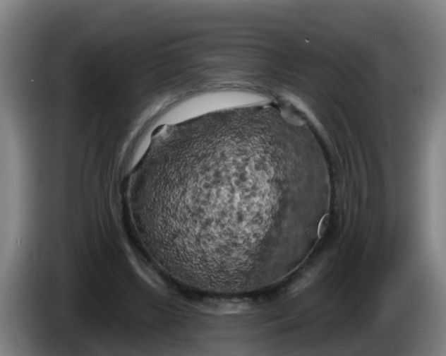 X0000086300443200704201945