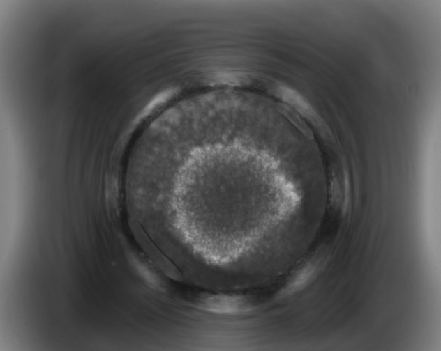 X0000086300444200704201945