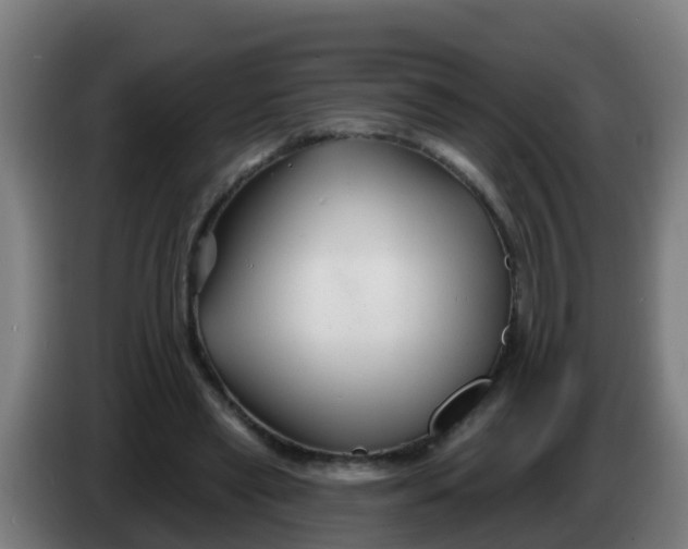 X0000086300445200704201945