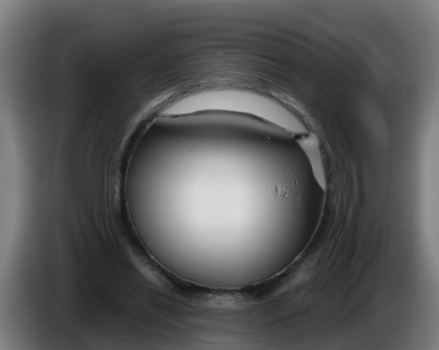 X0000086300446200704201945