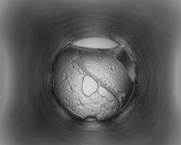 X0000086300449200704201945