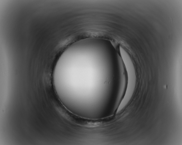 X0000086300450200704201946