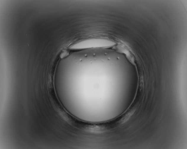 X0000086300453200704201946