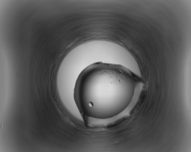 X0000086300456200704201946