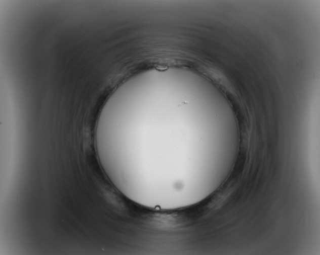 X0000086300457200704201946