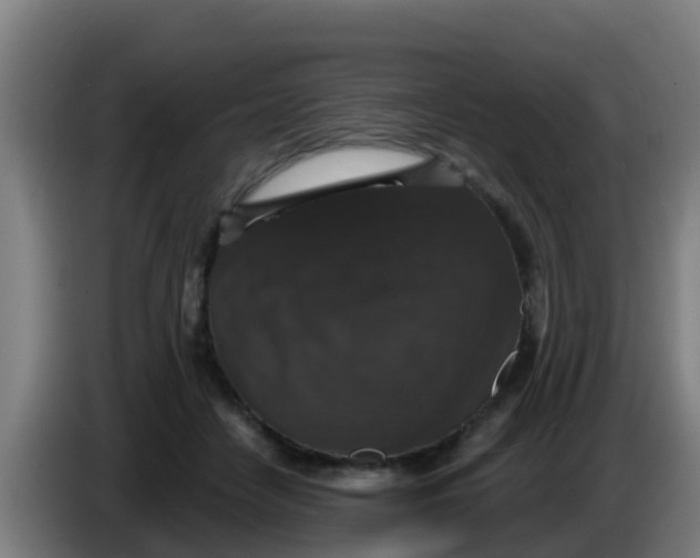 X0000086300458200704201946