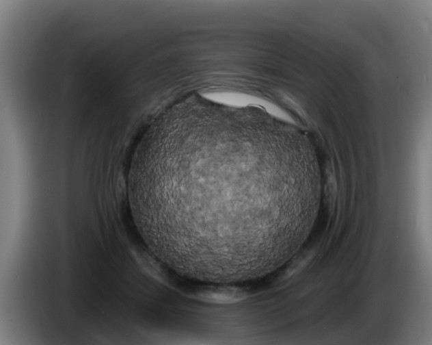 X0000086300459200704201946