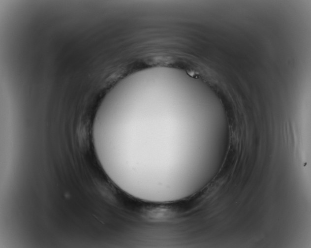 X0000086300460200704201946