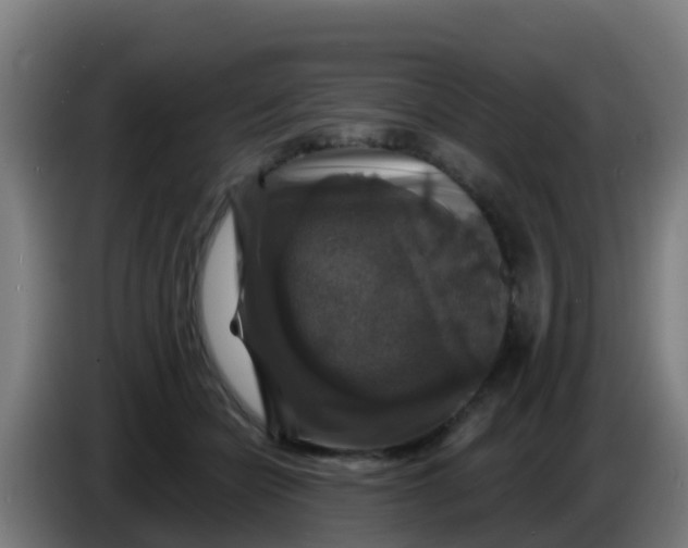 X0000086300462200704201946