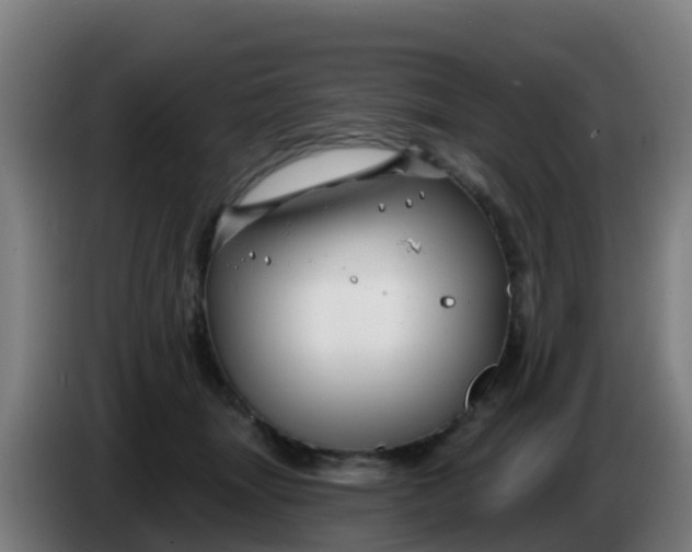 X0000086300463200704201946