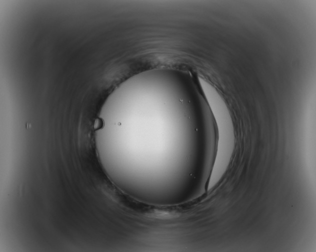 X0000086300464200704201946