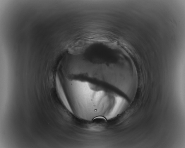 X0000086300465200704201946